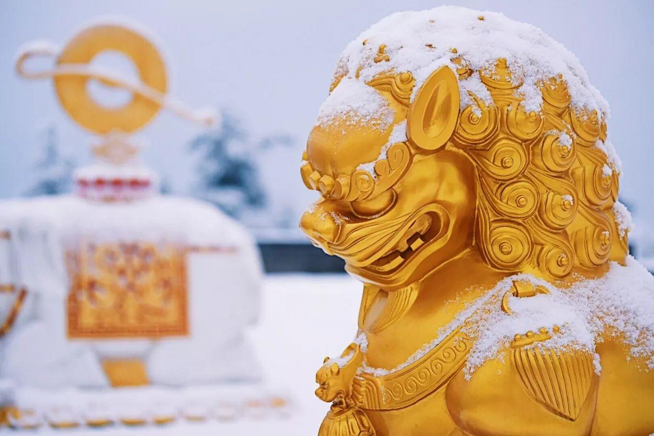 看雪论坛课程：实战导向安全技术学习，从零基础到专业认证的完整指南