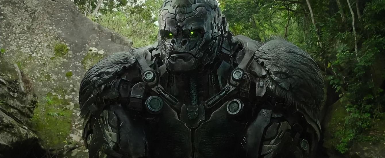 黑客是怎么查到一个人的信息的？揭秘信息收集技术与防范方法