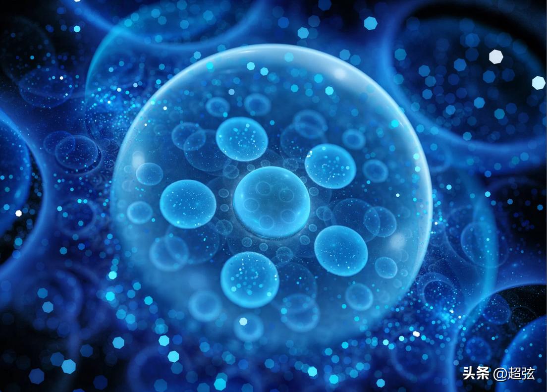 黑客在线接单资料大全：揭秘网络暗市运作与防范指南  第3张