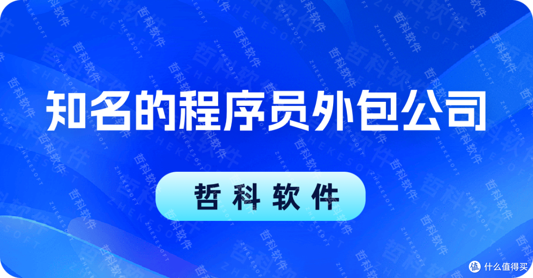 程序员接外包需要什么水平？掌握这些技能轻松赚钱避坑  第1张