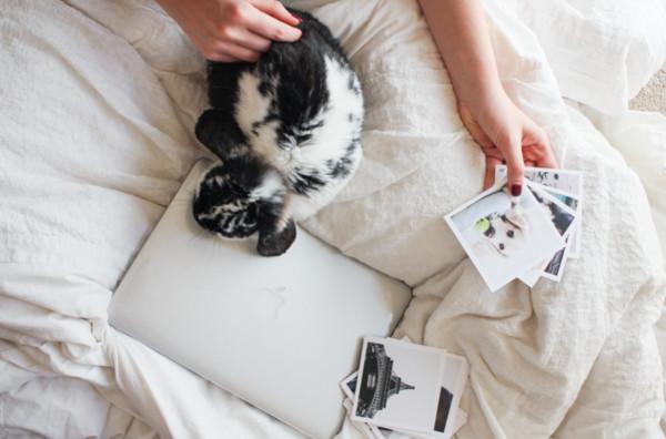 最开放的免费聊天软件推荐：安全便捷的沟通工具让聊天更自由快乐  第1张