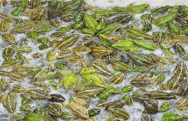 三天搞到十万块钱的路子：合法快速赚钱的实战指南  第2张