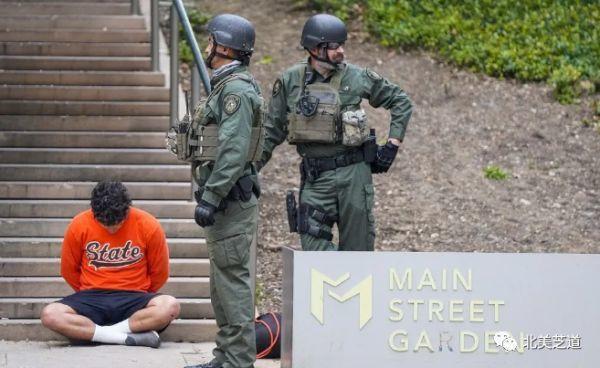 如何才能找到真正的黑客：揭秘专业网络安全人才识别与合作指南