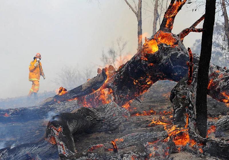 黑客的qq群：揭秘网络安全技术交流平台的风险与机遇