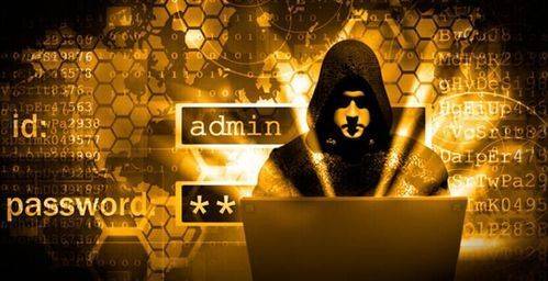 谁知道拿站的黑客网站？揭秘黑客入侵手段与网站安全防护全攻略  第3张