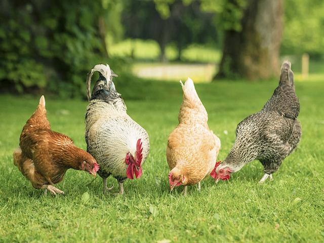 年薪百万是什么水平知乎？揭秘真实收入与生活状态，帮你认清高薪背后的真相  第1张