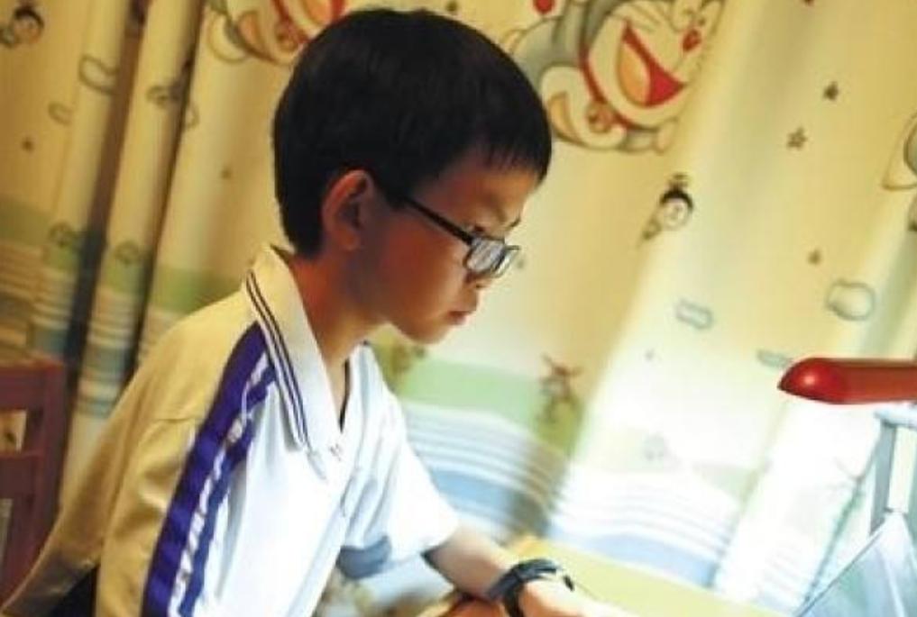 中国年龄最小的黑客汪正扬：13岁天才少年的网络安全之路与教育启示
