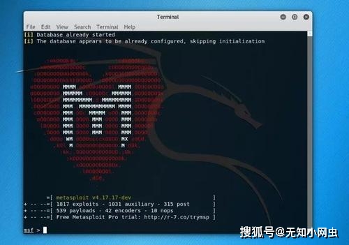 精通脚本黑客：网络安全渗透测试与自动化漏洞挖掘实战指南  第2张
