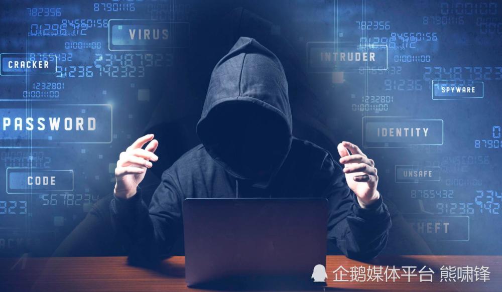 黑客能挣到钱吗？揭秘白帽、灰帽、黑帽黑客的合法与非法收入来源  第3张