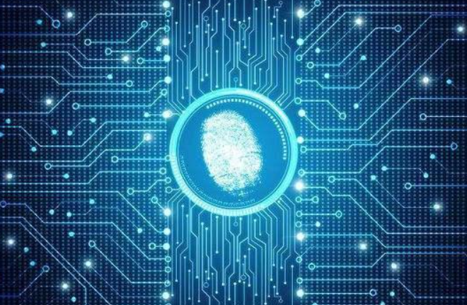 请黑客要多少钱一个月？揭秘价格差异与合法替代方案  第2张