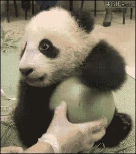 QQ后端破解系统安全防护指南：揭秘常见攻击手段与高效防范措施  第1张