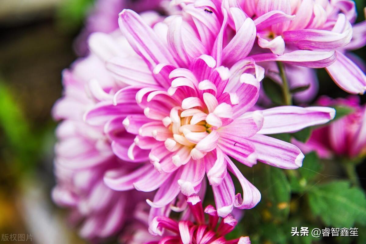 怎么自学编程：从零开始轻松掌握编程技能，告别学习困惑  第3张