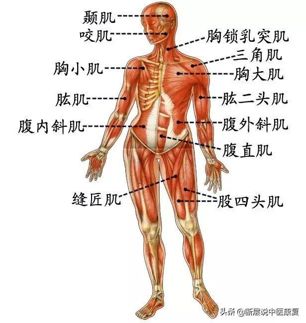 不花钱的位置查询：免费定位技巧，让生活更便捷安全  第3张