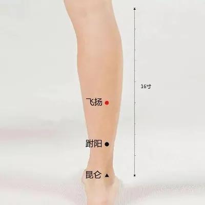 不花钱的位置查询：免费定位技巧，让生活更便捷安全  第2张