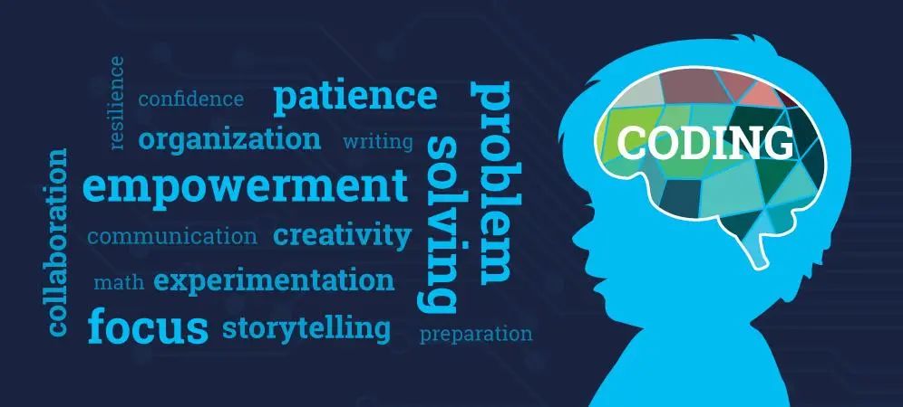 学编程的好处和坏处：职业转型与认知提升的完整指南  第1张