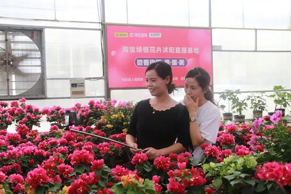 免费引流软件全自动接单靠谱吗？揭秘零风险高效引流实战技巧