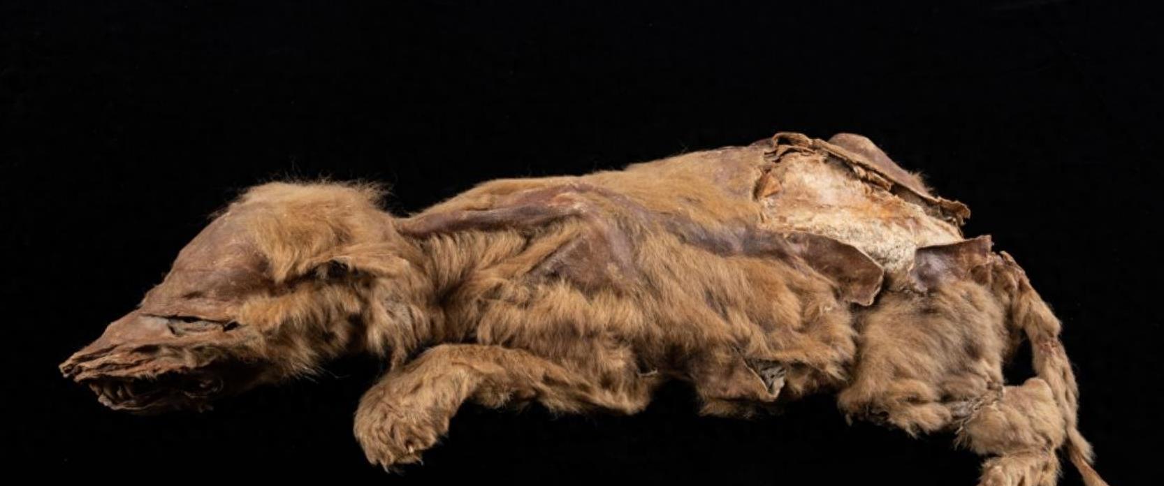 网上聊天被威胁了怎么办？立即行动保护自己，避免恐惧与损失