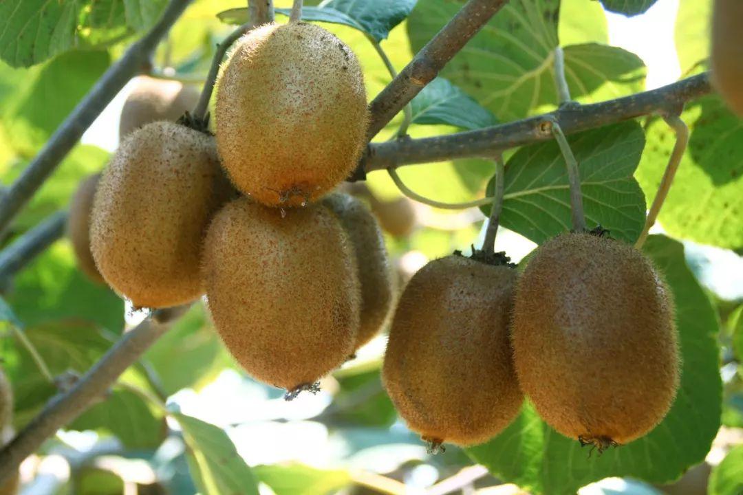 微信发位置怎么定位自己店铺位置？3步挂上线上招牌，让顾客一键导航到店