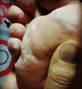 计算机网络基础知识整理大全：从零到一轻松掌握网络核心原理，告别技术恐惧