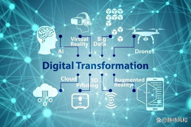 网络技术是干什么的？揭秘数字神经系统如何重构商业世界，让连接创造无限价值