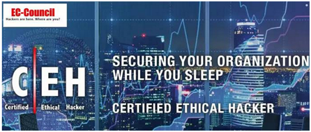 黑客能力有多大？揭秘从代码到现实的惊人力量与道德边界  第3张