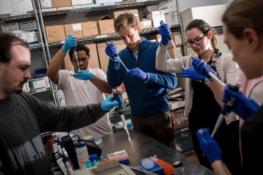 成为一名黑客需要多久？从新手到专家的完整时间线与实战指南  第1张