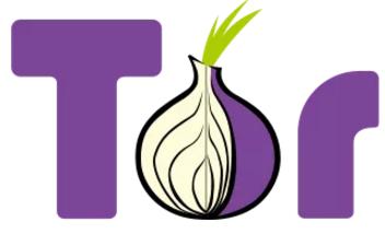 成为一名黑客需要多久？从新手到专家的完整时间线与实战指南  第2张