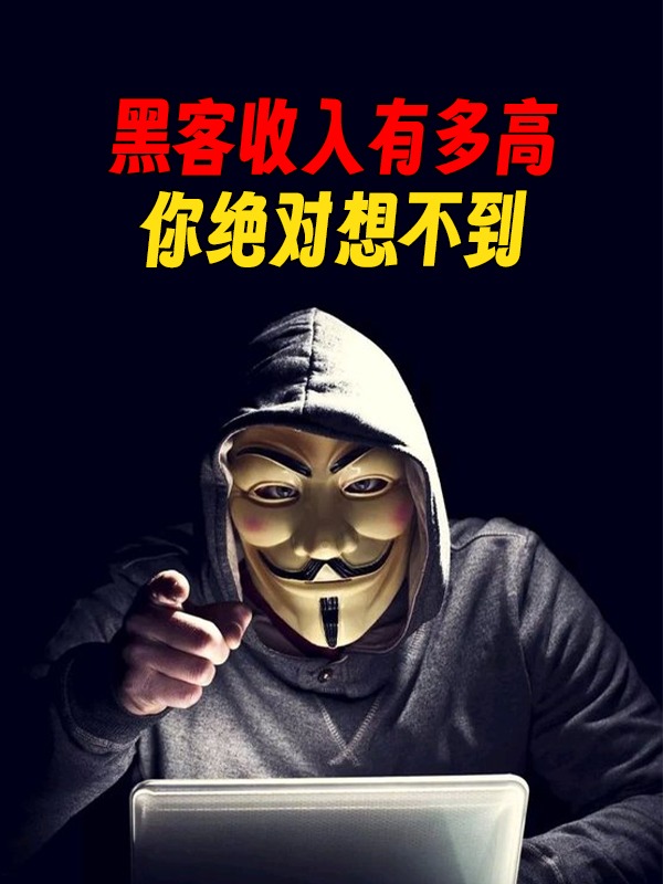 黑客有收入吗？揭秘白帽黑客如何年入百万的合法赚钱路径