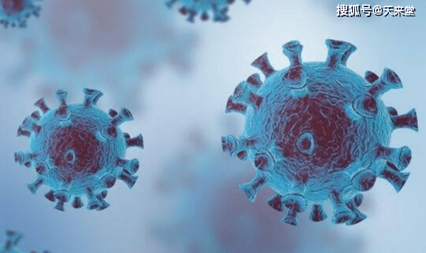 怎么联系黑客高手呢？安全合法寻找白帽专家的完整指南