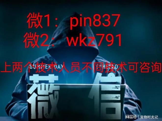 黑客有免费接单的吗是真的吗？揭秘免费黑客服务的陷阱与合法替代方案  第1张