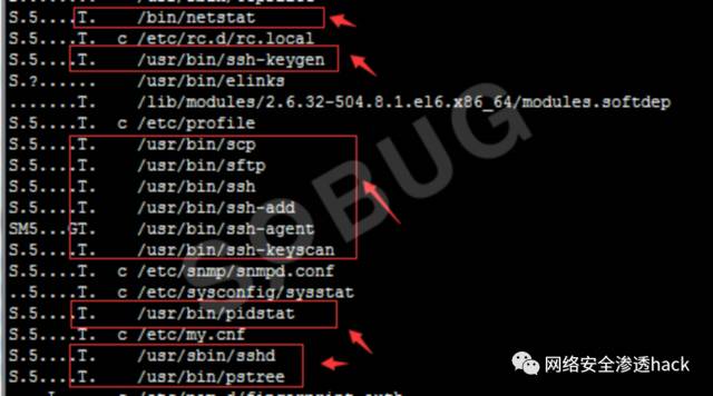 黑客脱裤攻击全解析：如何防范数据库被拖库及应急响应指南