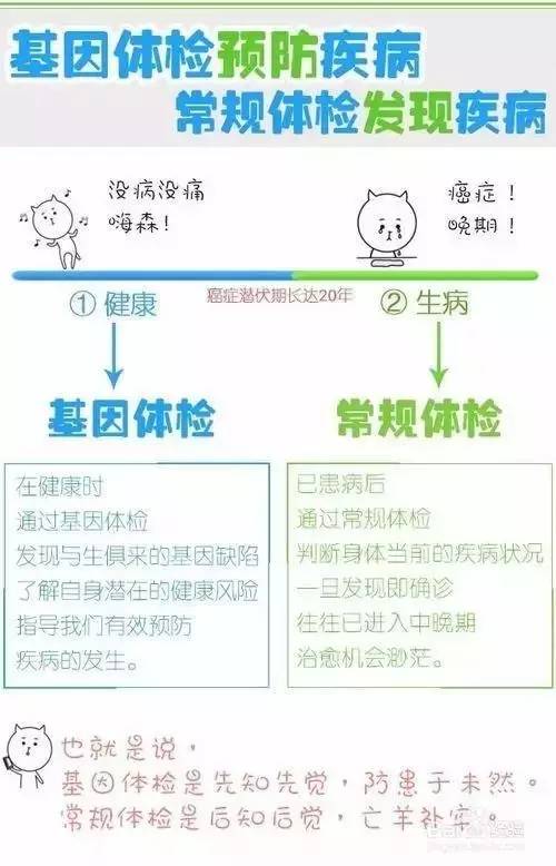 渗透测试的基本流程：从零开始掌握网络安全健康体检全攻略，让您的系统固若金汤
