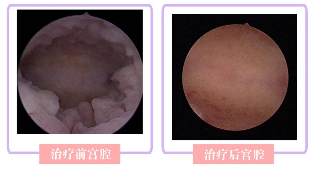 138信用盘是什么？安全吗？如何注册？新手必看的风险防范与理性参与指南
